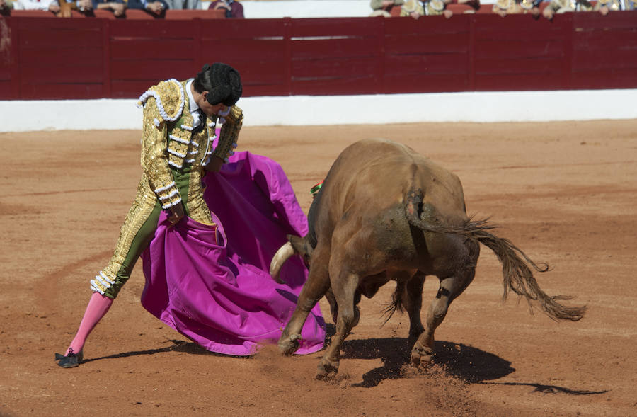 Novillada matinal este sábado en la Feria del Toro de Olivenza 