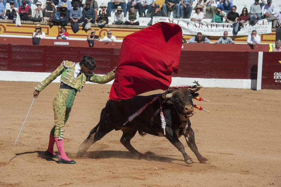 Novillada matinal este sábado en la Feria del Toro de Olivenza 