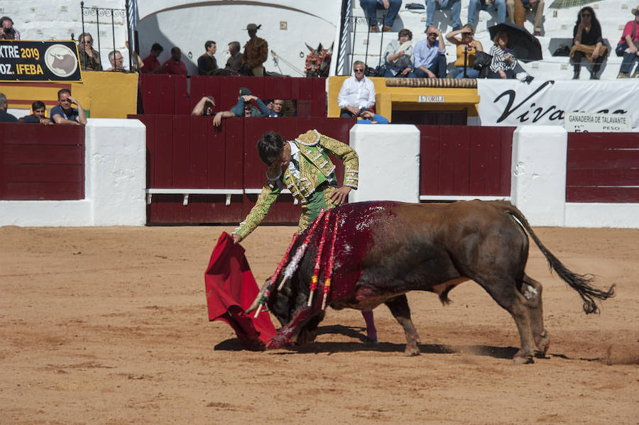 Novillada matinal este sábado en la Feria del Toro de Olivenza 
