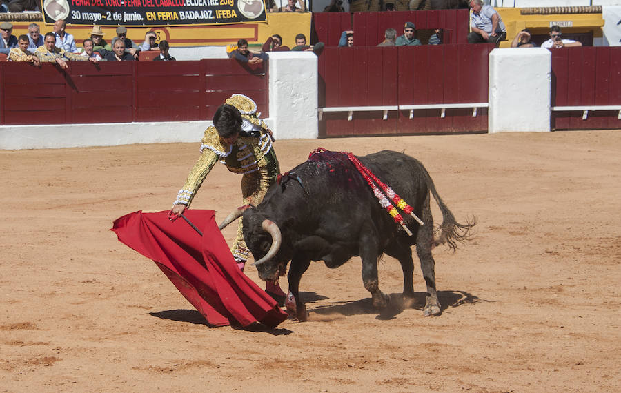 Novillada matinal este sábado en la Feria del Toro de Olivenza 