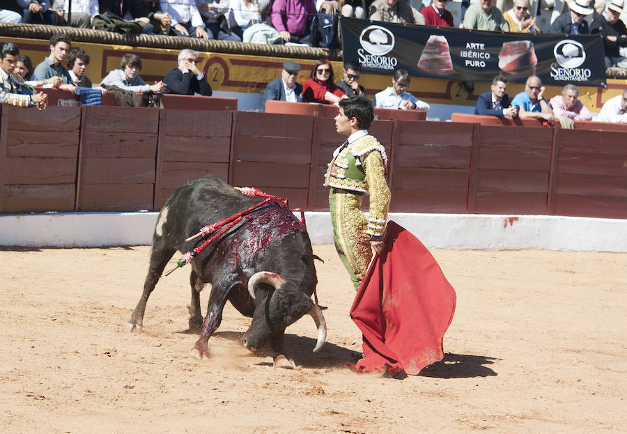 Novillada matinal este sábado en la Feria del Toro de Olivenza 