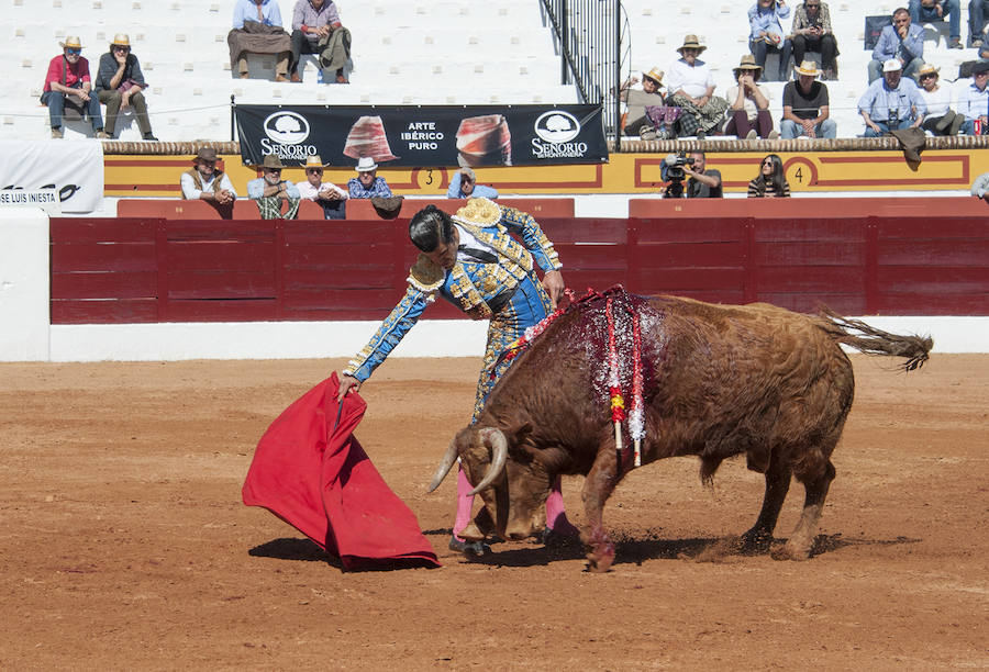 Novillada matinal este sábado en la Feria del Toro de Olivenza 