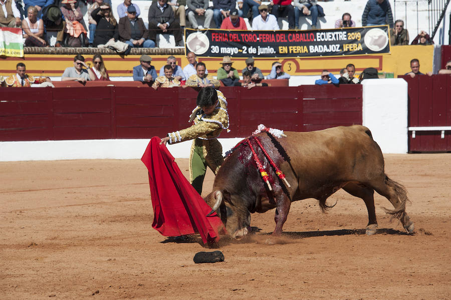 Novillada matinal este sábado en la Feria del Toro de Olivenza 