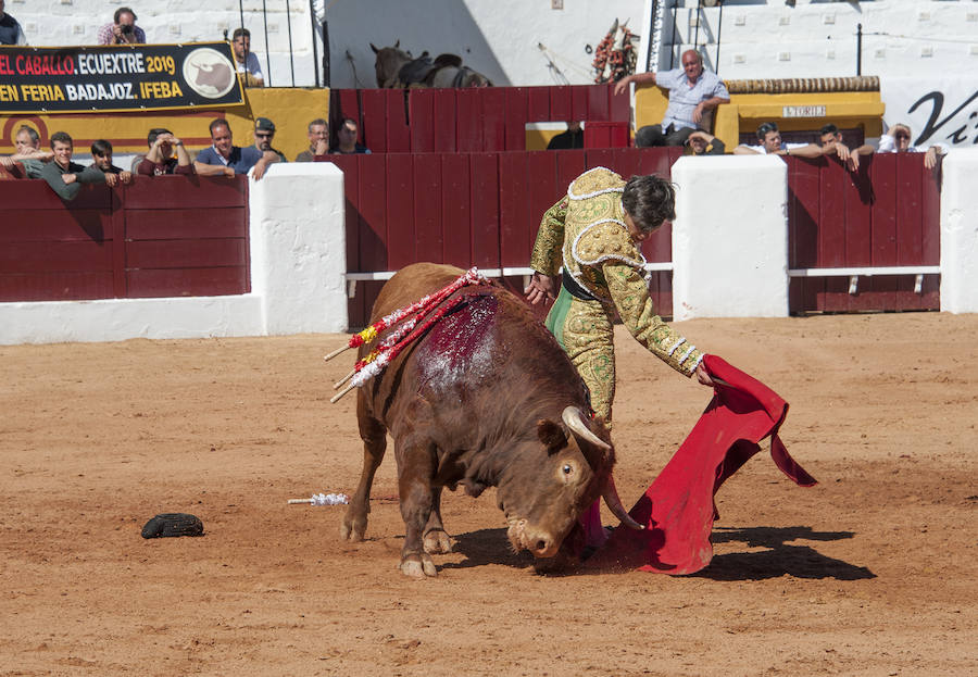 Novillada matinal este sábado en la Feria del Toro de Olivenza 