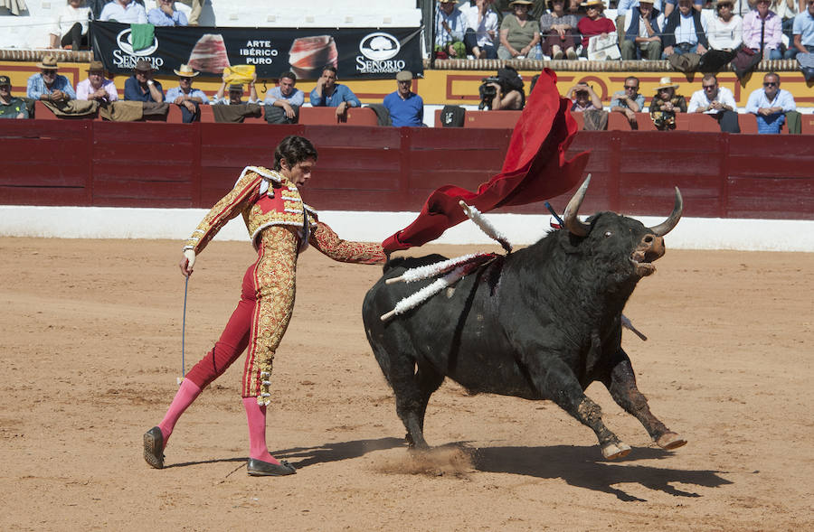 Abrió plaza Antonio Ferrera con 'Zambullido' un Zalduendo de 545, muy bien presentado 