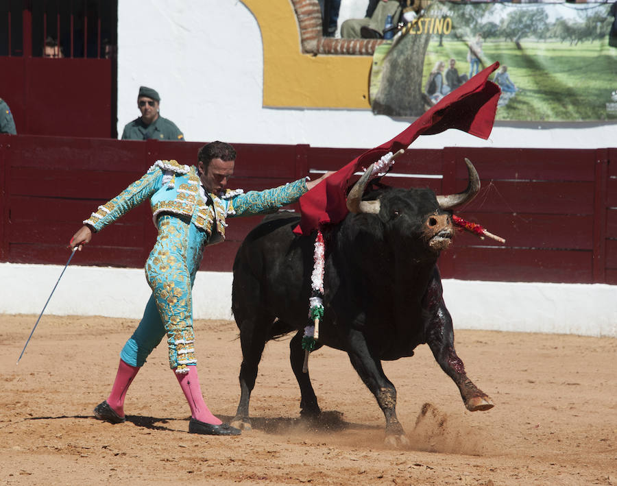 Abrió plaza Antonio Ferrera con 'Zambullido' un Zalduendo de 545, muy bien presentado 