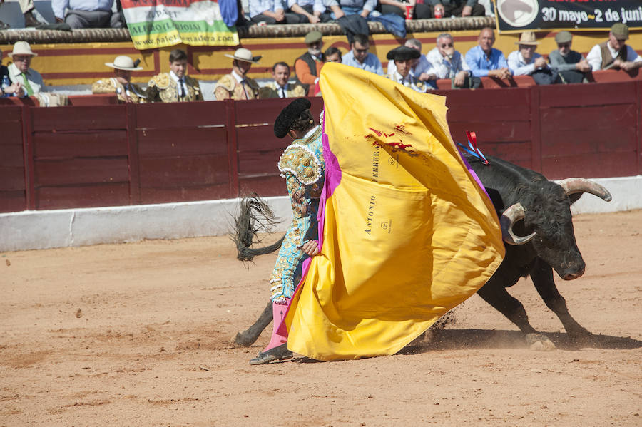 Abrió plaza Antonio Ferrera con 'Zambullido' un Zalduendo de 545, muy bien presentado 