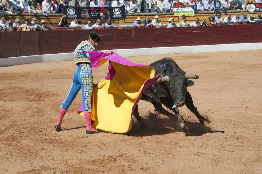 Abrió plaza Antonio Ferrera con 'Zambullido' un Zalduendo de 545, muy bien presentado 