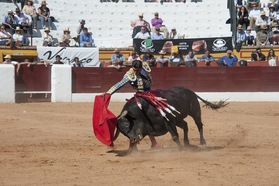 Abrió plaza Antonio Ferrera con 'Zambullido' un Zalduendo de 545, muy bien presentado 