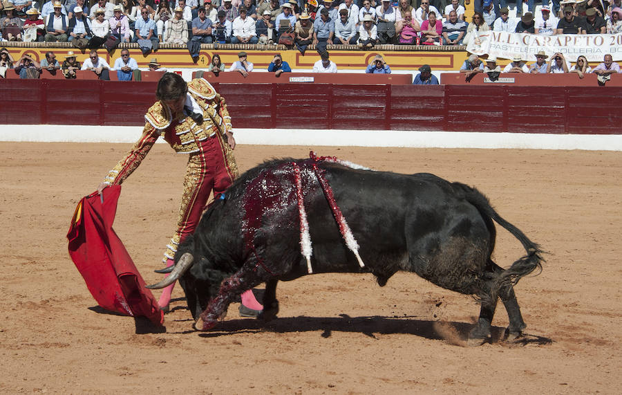 Abrió plaza Antonio Ferrera con 'Zambullido' un Zalduendo de 545, muy bien presentado 