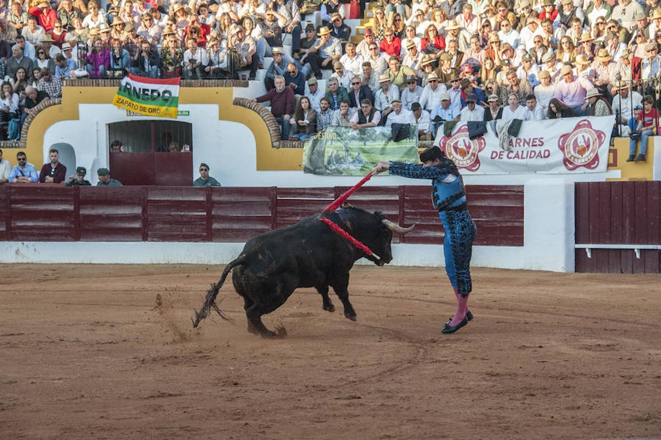 Morante, sin suerte con el lote de Daniel Ruiz que le correspondió, dejó una serie de verónicas y una media que pagaron la entrada de los morantistas
