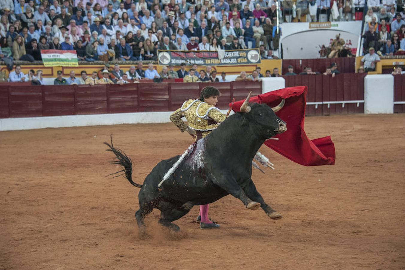 Morante, sin suerte con el lote de Daniel Ruiz que le correspondió, dejó una serie de verónicas y una media que pagaron la entrada de los morantistas