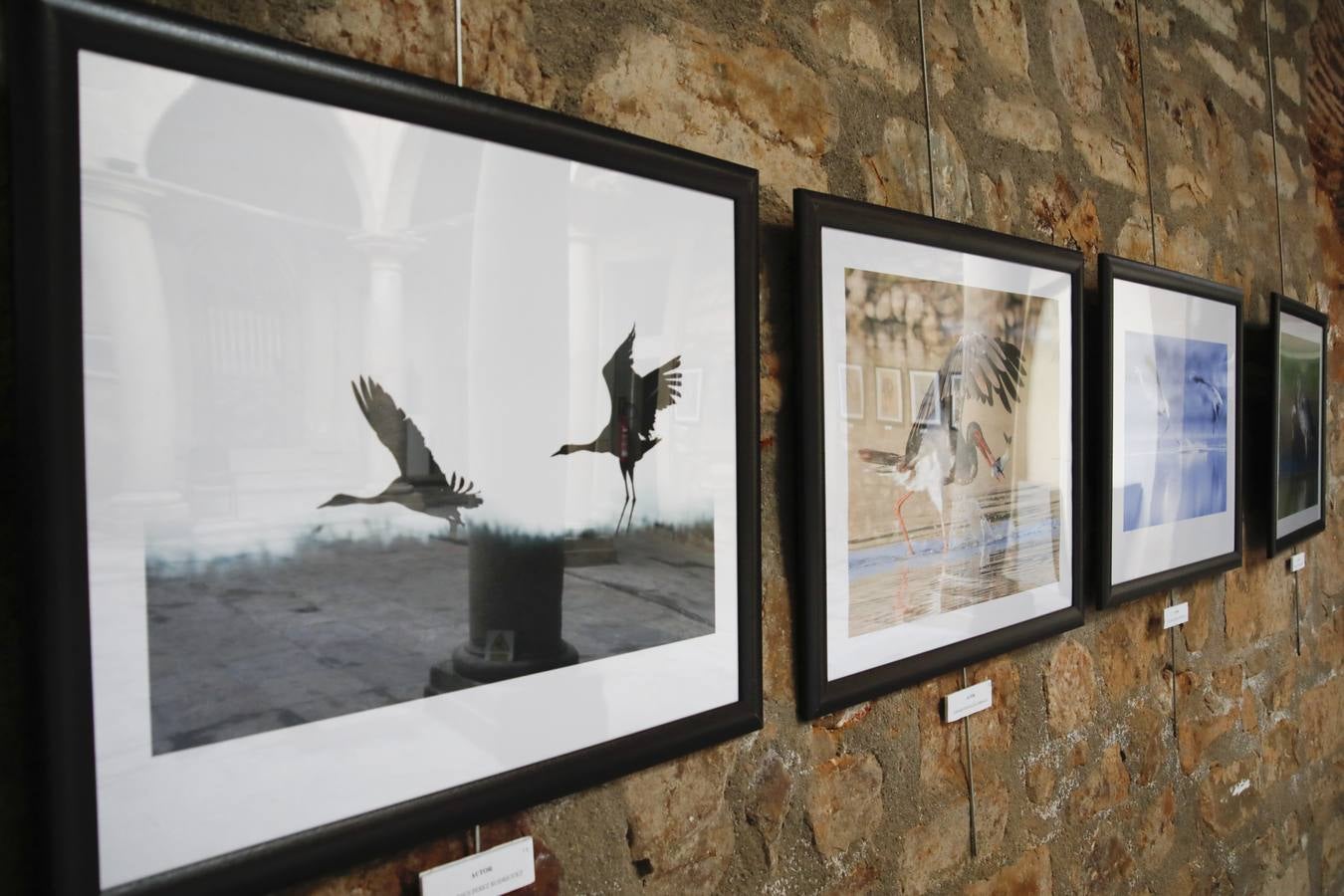 Del 21 de febrero hasta el 14 de marzo se expone, en el Ateneo de Cáceres, la muestra de fotografías titulada «Objetivo natural, los otros pobladores de la dehesa». Se trata de una muestra que ha recorrido otras ciudades de la geografía extremeña.