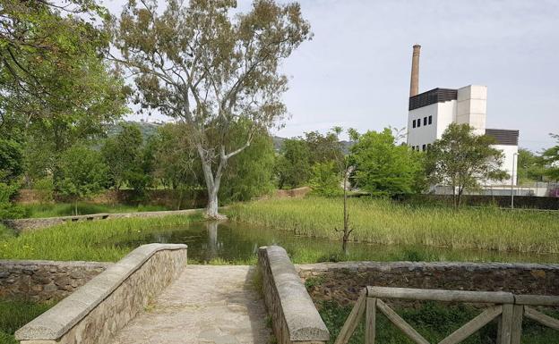 Zona del Calerizo en las inmediaciones de la Charca del Marco.