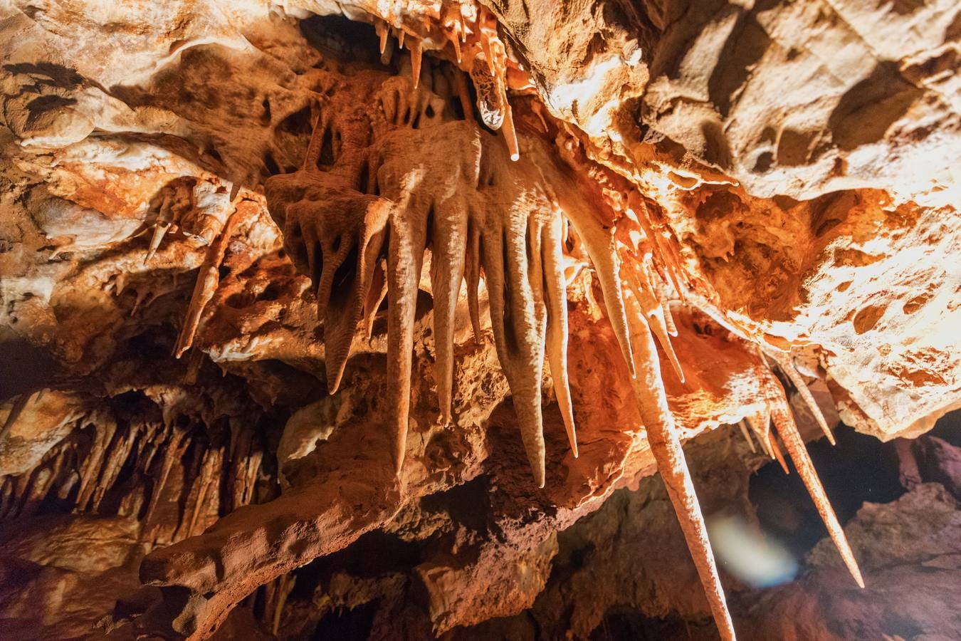 Actualmente están paradas las obras en el tramo comprendido entre la Ex-206 y la primera rotonda de acceso al residencial Vistahermosa 