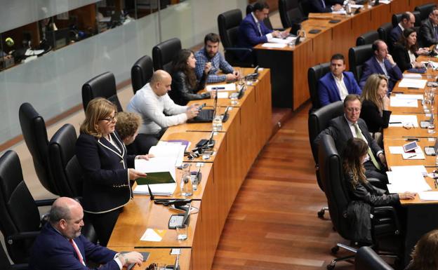 Intervención de la diputada de Ciudadanos María Victoria Domínguez