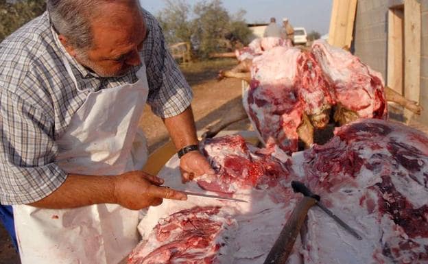 Imagen de archivo de una matanza del cerdo en Extremadura:: HOY