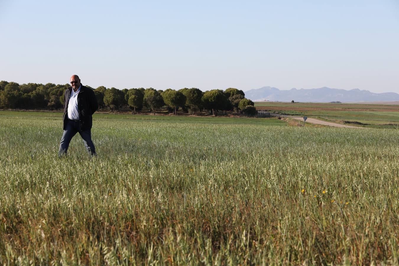 La falta de agua hace peligar el cereal en la región
