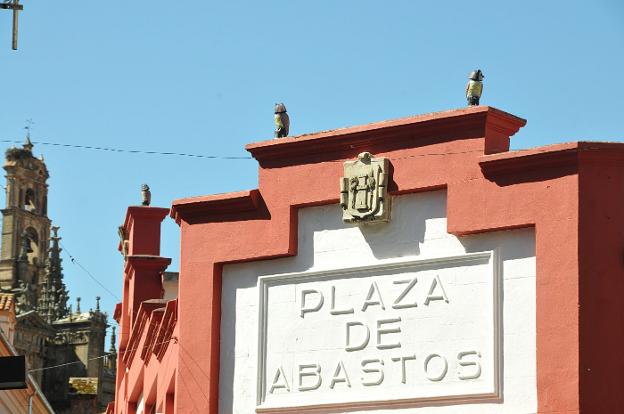 Imagen de los búhos que se han colocado en el tejado de la plaza de abastos. :: david palma