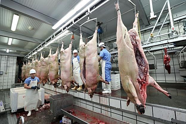 Matadero de Montesano en Jerez. La empresa es uno de los socios de la nueva instalación. :: brígido