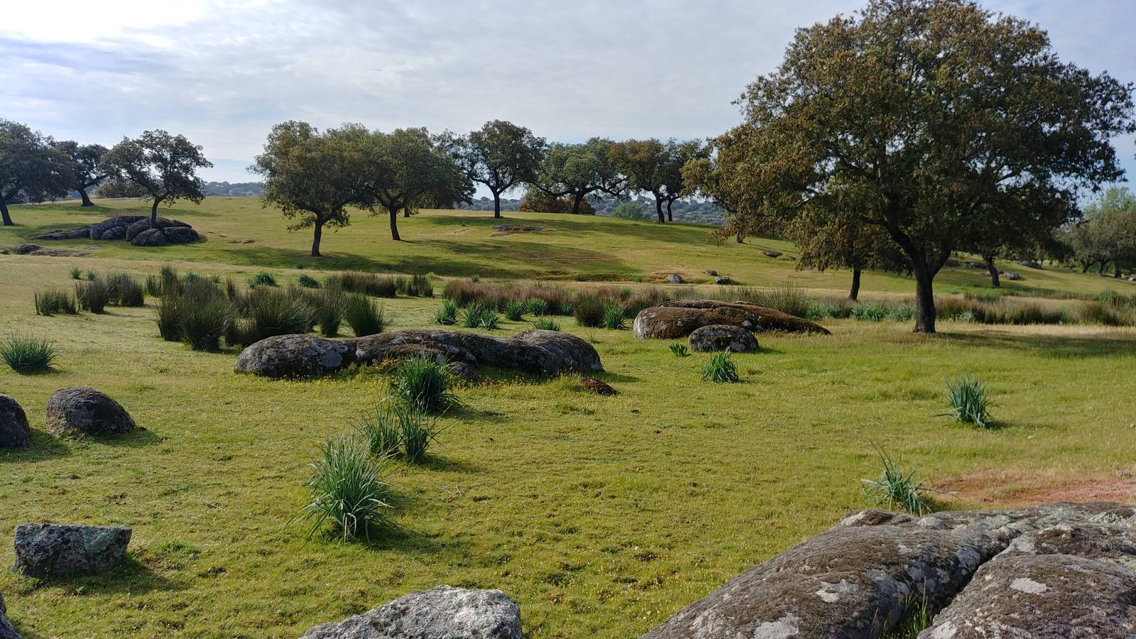 El entorno de la localidad pacenses de La Roca de la Sierra se puede encontrar espectaculares canchales y la Dehesa Boyal, que alberga la Pradera de San Isidro.