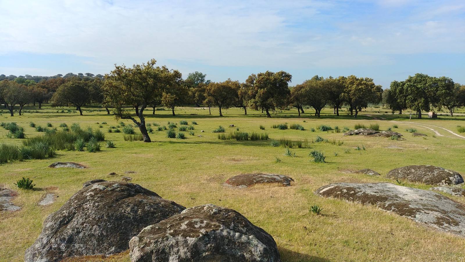 El entorno de la localidad pacenses de La Roca de la Sierra se puede encontrar espectaculares canchales y la Dehesa Boyal, que alberga la Pradera de San Isidro.