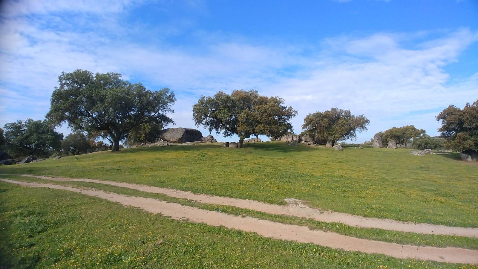 El entorno de la localidad pacenses de La Roca de la Sierra se puede encontrar espectaculares canchales y la Dehesa Boyal, que alberga la Pradera de San Isidro.