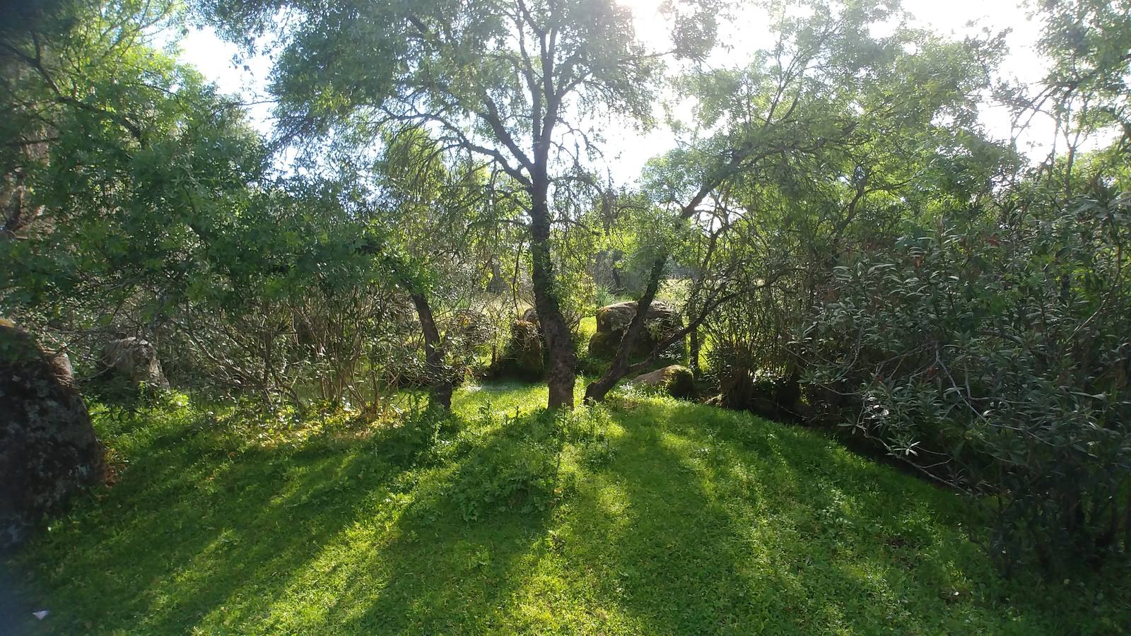 El entorno de la localidad pacenses de La Roca de la Sierra se puede encontrar espectaculares canchales y la Dehesa Boyal, que alberga la Pradera de San Isidro.