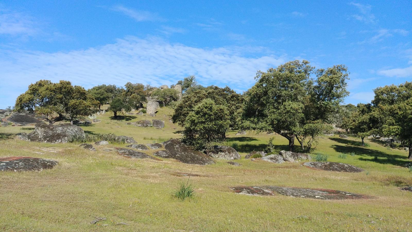 El entorno de la localidad pacenses de La Roca de la Sierra se puede encontrar espectaculares canchales y la Dehesa Boyal, que alberga la Pradera de San Isidro.