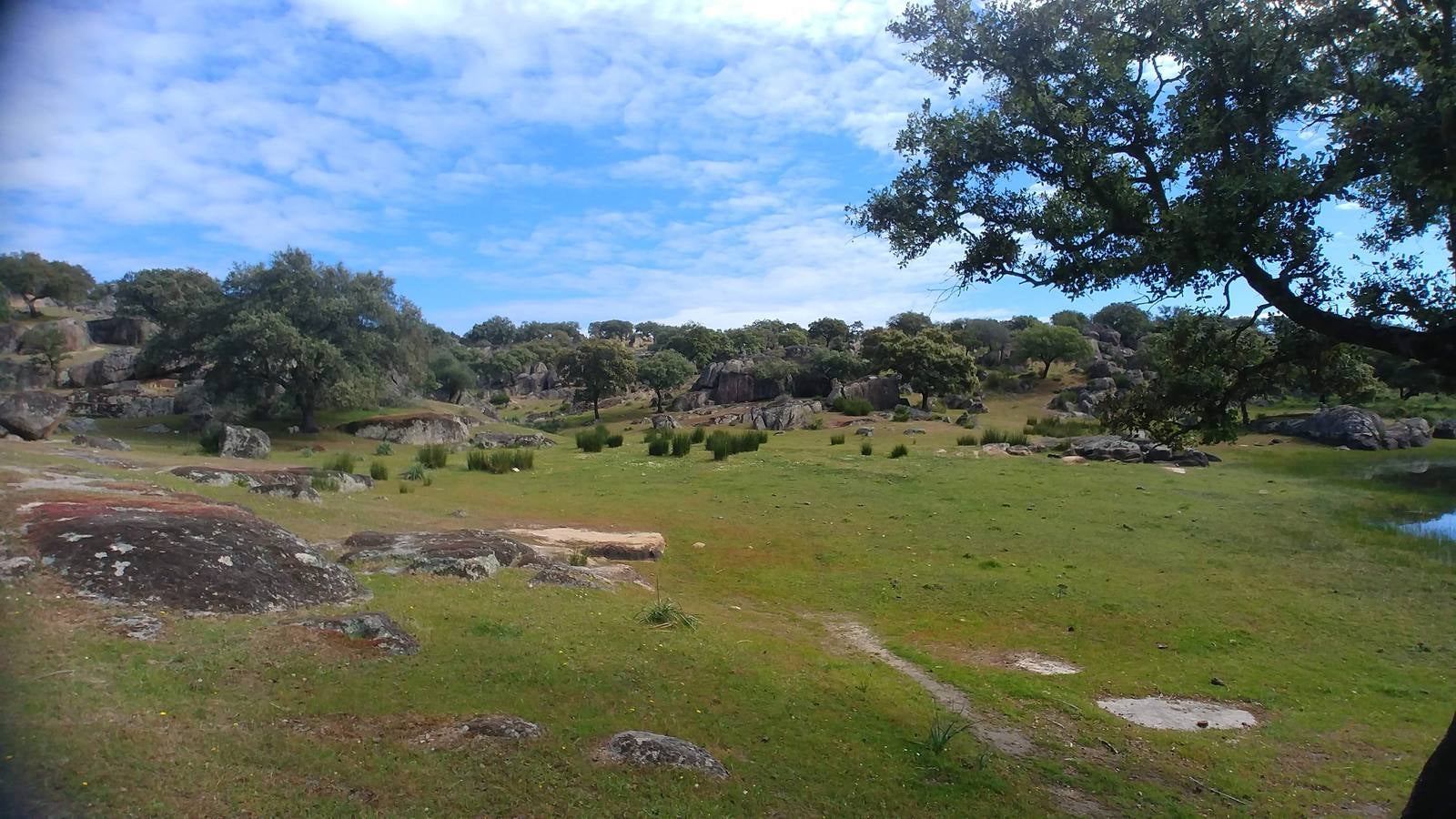 El entorno de la localidad pacenses de La Roca de la Sierra se puede encontrar espectaculares canchales y la Dehesa Boyal, que alberga la Pradera de San Isidro.