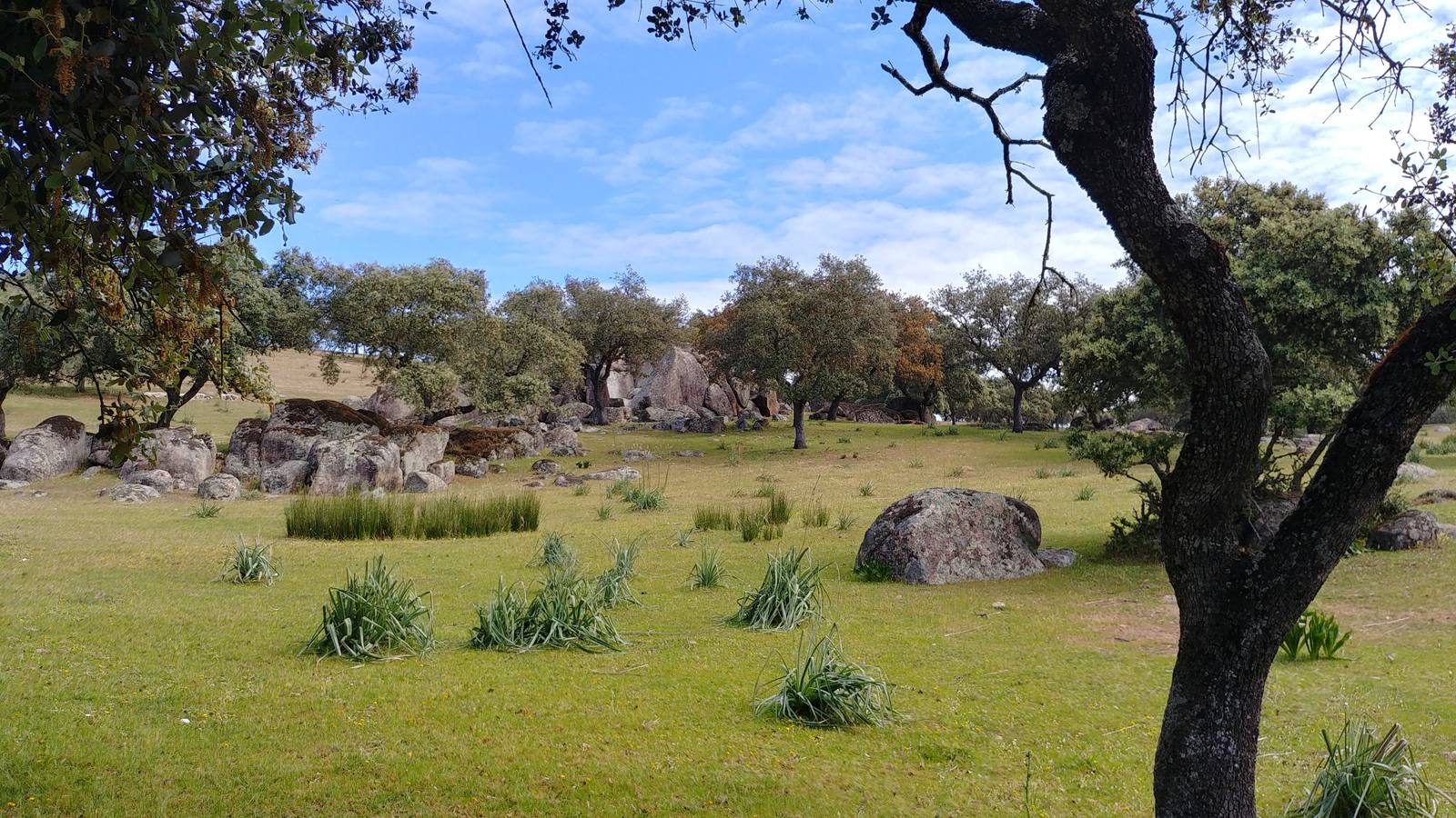 El entorno de la localidad pacenses de La Roca de la Sierra se puede encontrar espectaculares canchales y la Dehesa Boyal, que alberga la Pradera de San Isidro.