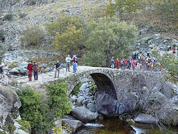 Un grupo de senderistas hace la ruta de Carlos V, que va de Tornavacas a Jarandilla de la Vera. :: hoy