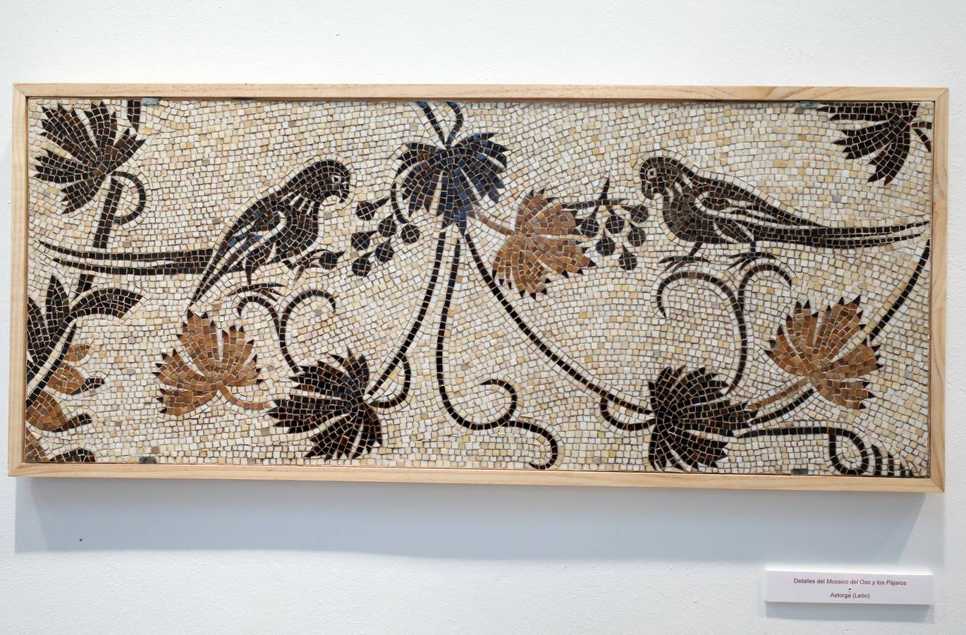 La Escuela de Arte y Superior de Diseño de Mérida abre una muestra en torno a esta disciplina a cargo de Jesús Antonio Martínez Lombó. Desde la Antigüedad a nuestros días, el arte del mosaico se ha empleado en paredes y suelos como una 'pintura en piedra' dedicada a los más nobles asuntos o al mero ornato suntuario», recuerdan desde el Ciclo Superior de Mosaicos con respecto a la exposición que inauguran este viernes 3 de mayo a las 20:00 en la sala de exposiciones de la Escuela de Arte. La muestra podrá verse hasta el 16 de mayo en el horario de mañana, con entrada gratuita.