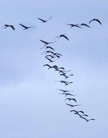 Imagen secundaria 2 - Ana Belén pone en Mérida la banda sonora al fin de semana de los acróbatas, los cosacos y la preferia de Cáceres