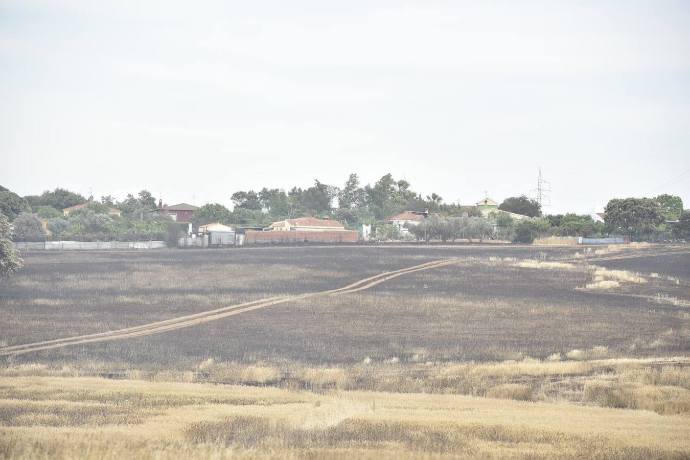 El fuego ha comenzado entre la Dehesilla del Calamón y el antiguo cuartel de Sancha Brava, pero se ha extendido con rapidez debido al viento llegando a aproximarse a algunas casas 