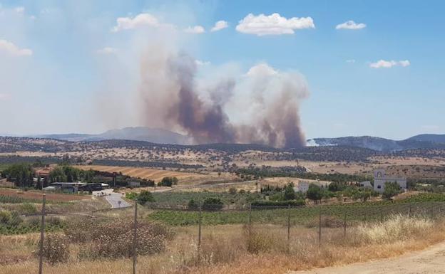 Efectivos del Infoex actúan contra un incendio entre Zafra y La Lapa