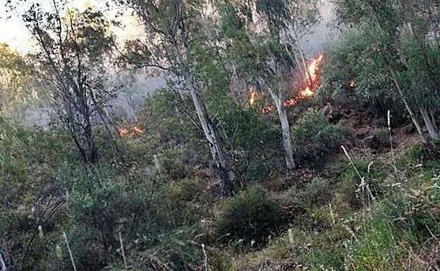 Imagen de uno de los incendios