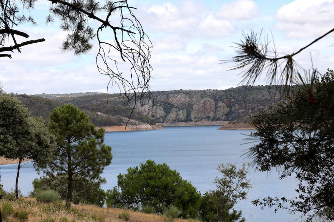 Once pueblos pacenses componen un territorio que goza de una gran variedad de hábitats, que sirven para dar cobijo a diferentes especies de flora y fauna