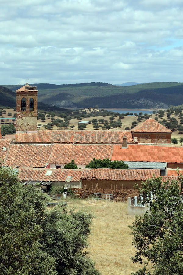 Once pueblos pacenses componen un territorio que goza de una gran variedad de hábitats, que sirven para dar cobijo a diferentes especies de flora y fauna