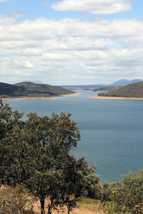 Once pueblos pacenses componen un territorio que goza de una gran variedad de hábitats, que sirven para dar cobijo a diferentes especies de flora y fauna