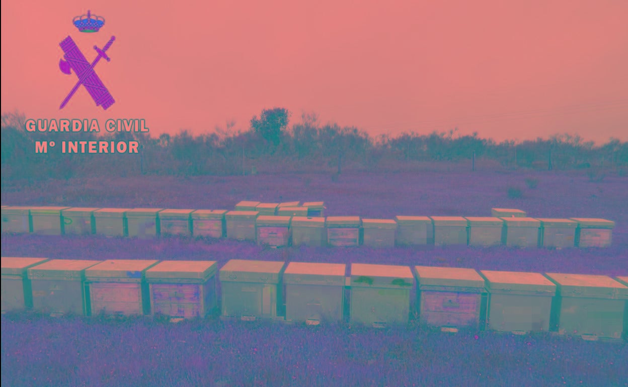 Simula un robo en su explotación apícola de Logrosán para estafar al seguro