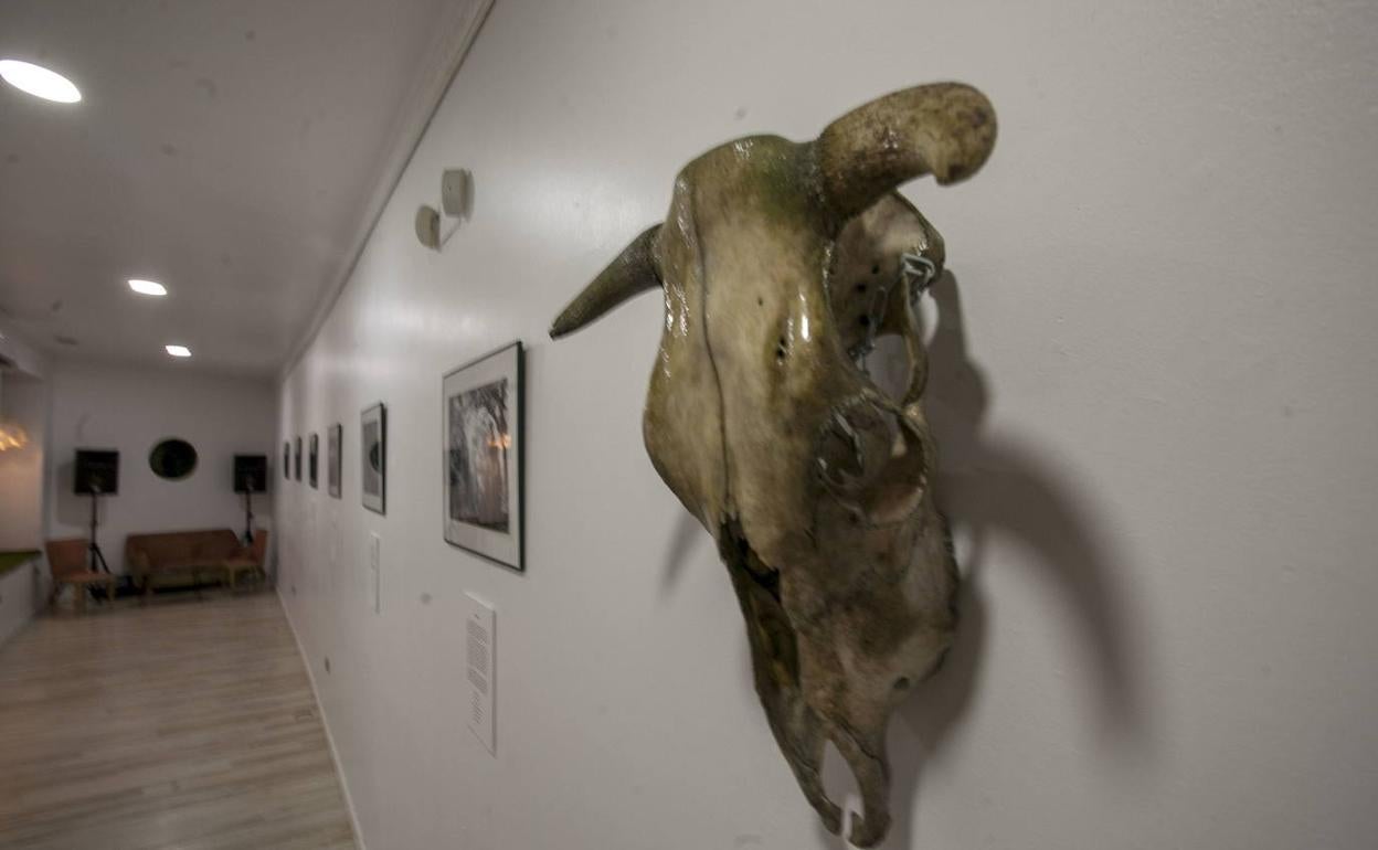 Imagen de la exposición 'Mitos y Leyendas'