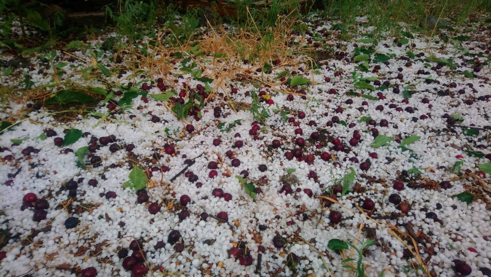 Fotos: Granizada en Tornavacas