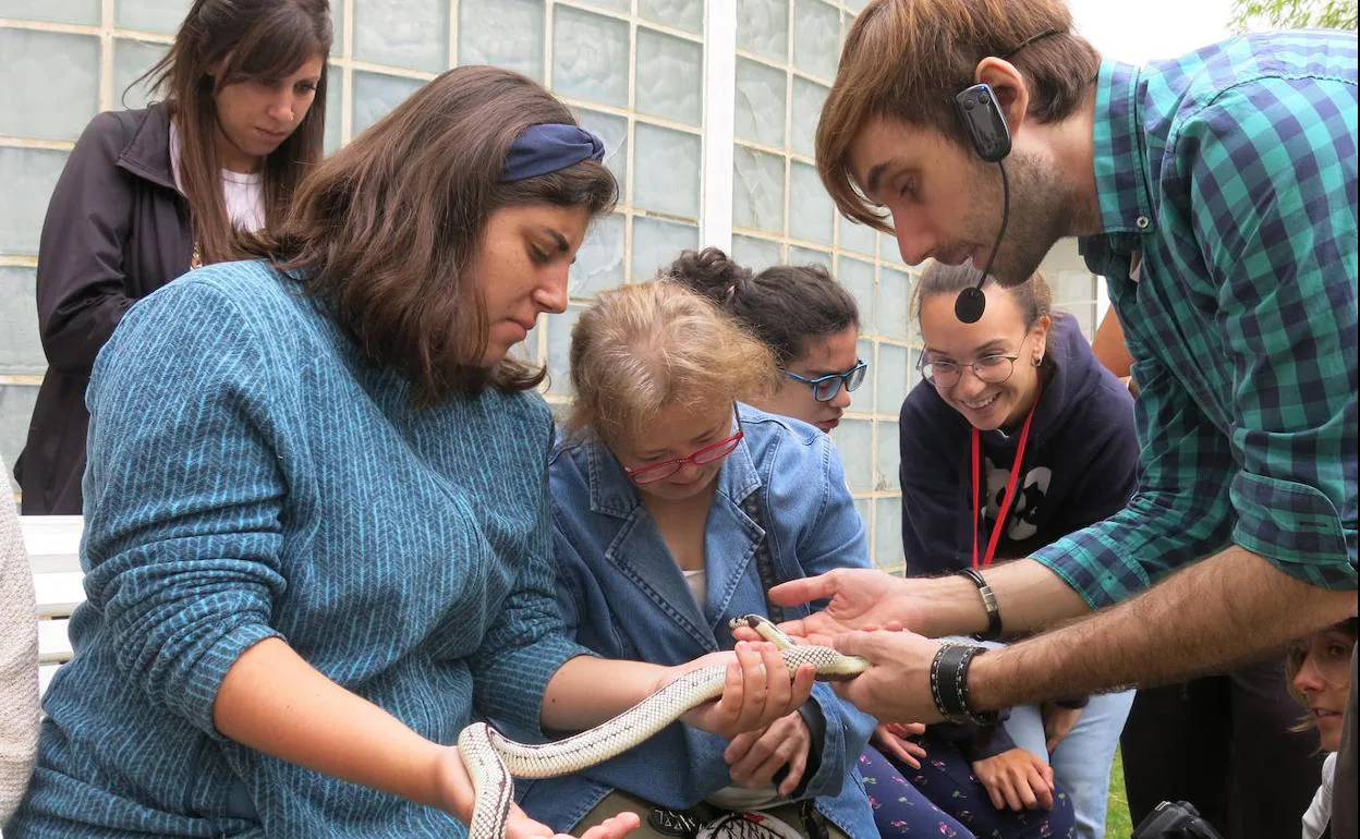 Terapia con reptiles en el campamento de Plena Inclusión