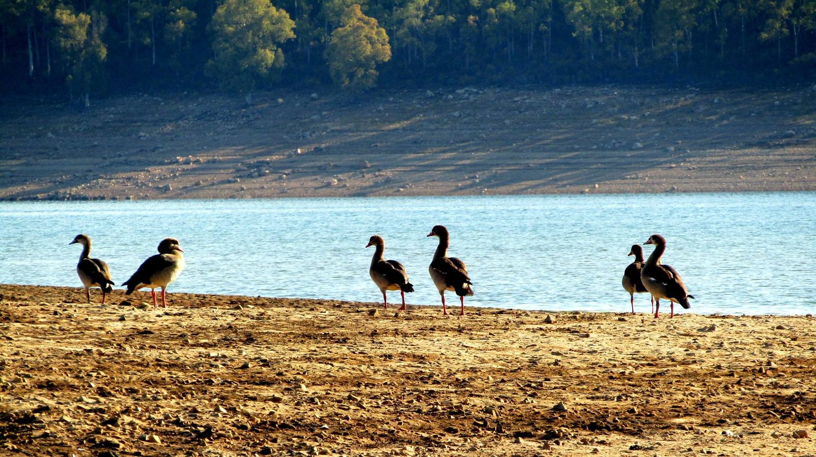 Fotos: Entorno de la Reserva Regional del Cijara