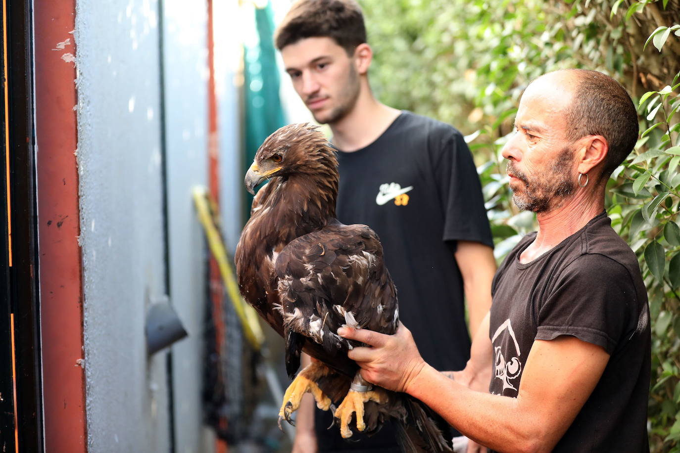 Fotos: Medicina quirúrgica en aves con traumatismos mediante la utilización de huesos de aves fallecidas