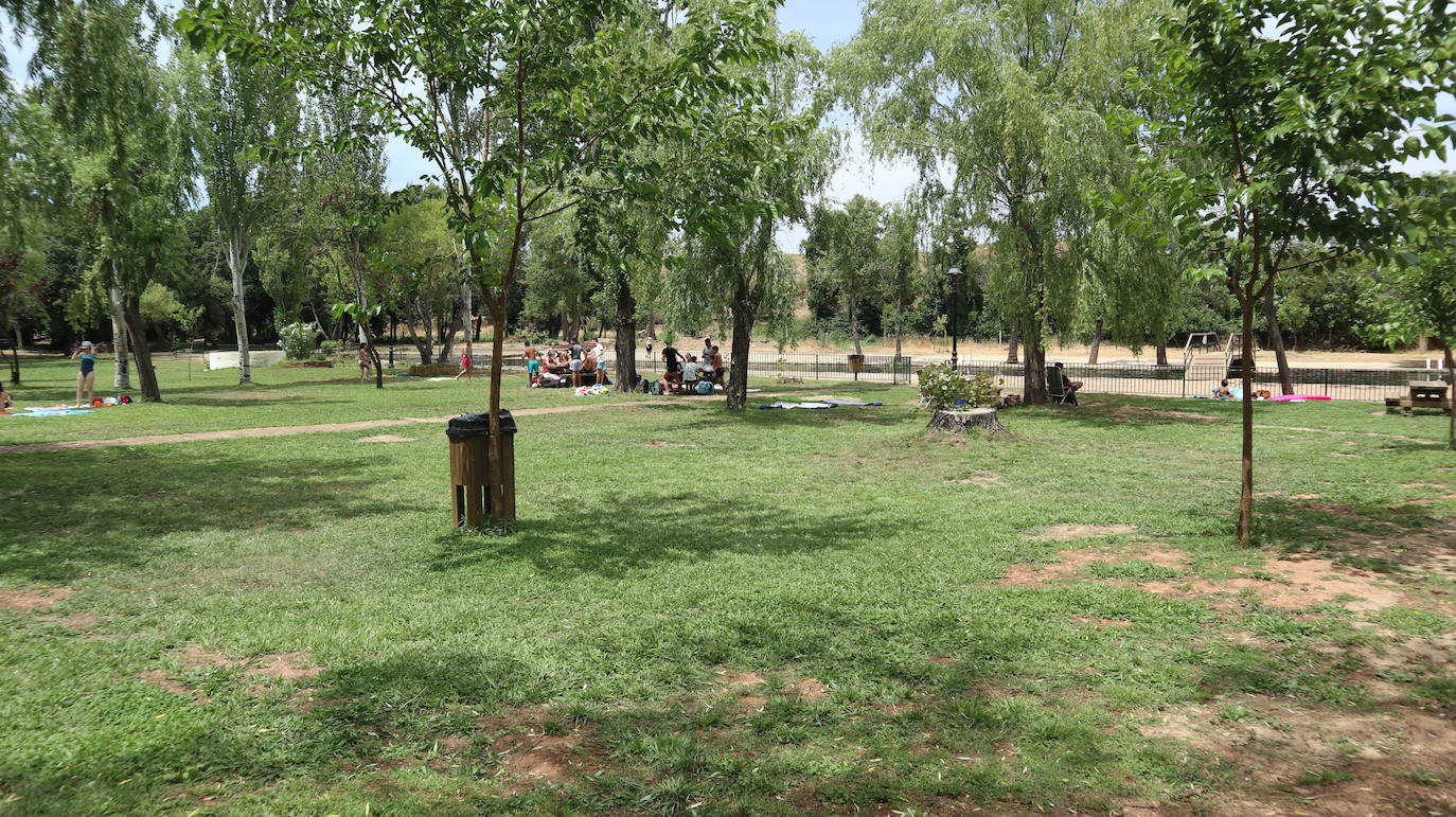 Fotos: La Codosera: una playa junto a un bosque