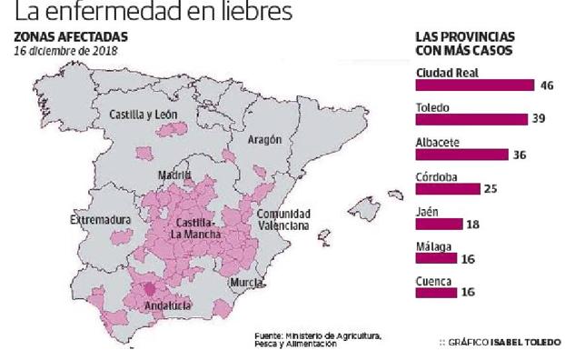 Zonas afectadas a 16 de diciembre de 2018