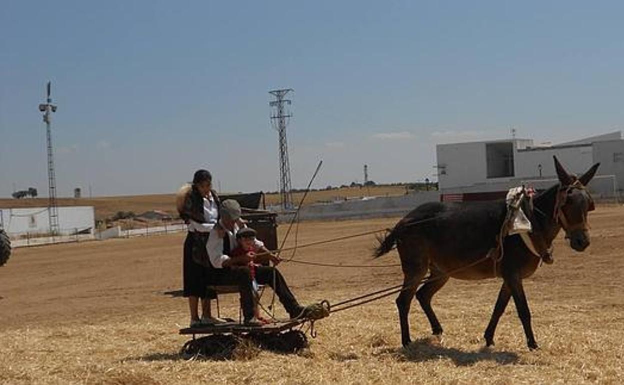 Cheles celebra este sábado su tradicional día 'Vente a la Era'