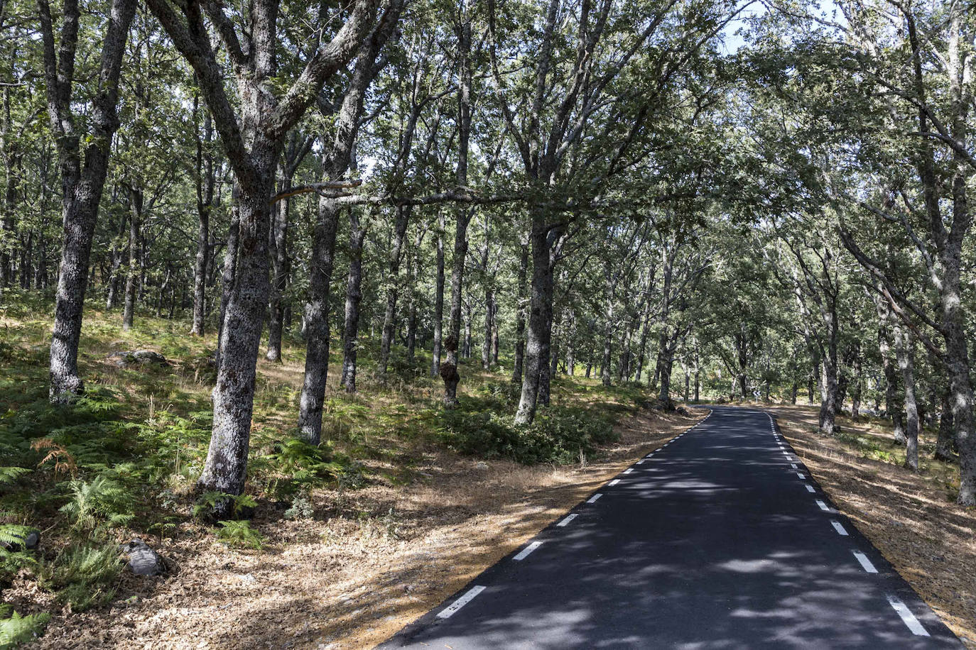 CC-17.4, carretera Piornal-Garganta la Olla. 